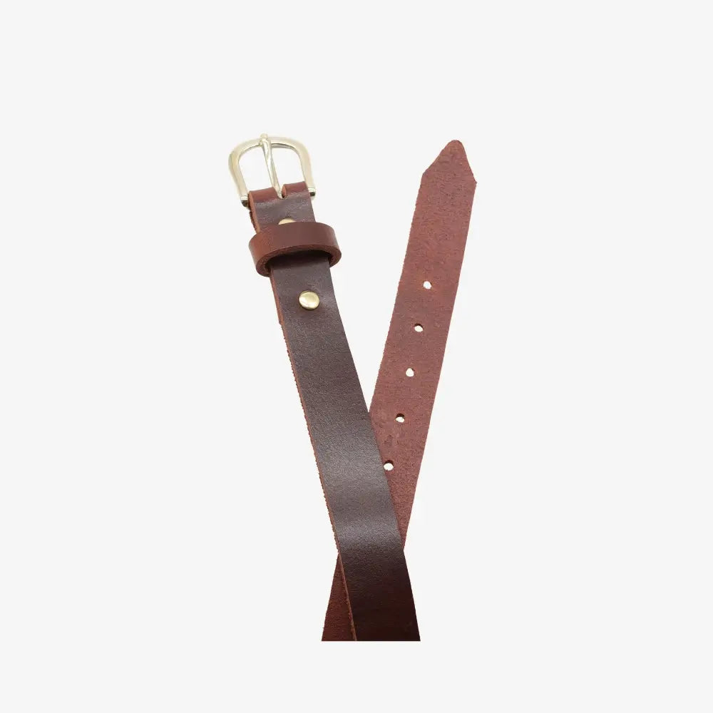 Top angle view of Brown leather belt with a silver buckle on a white background