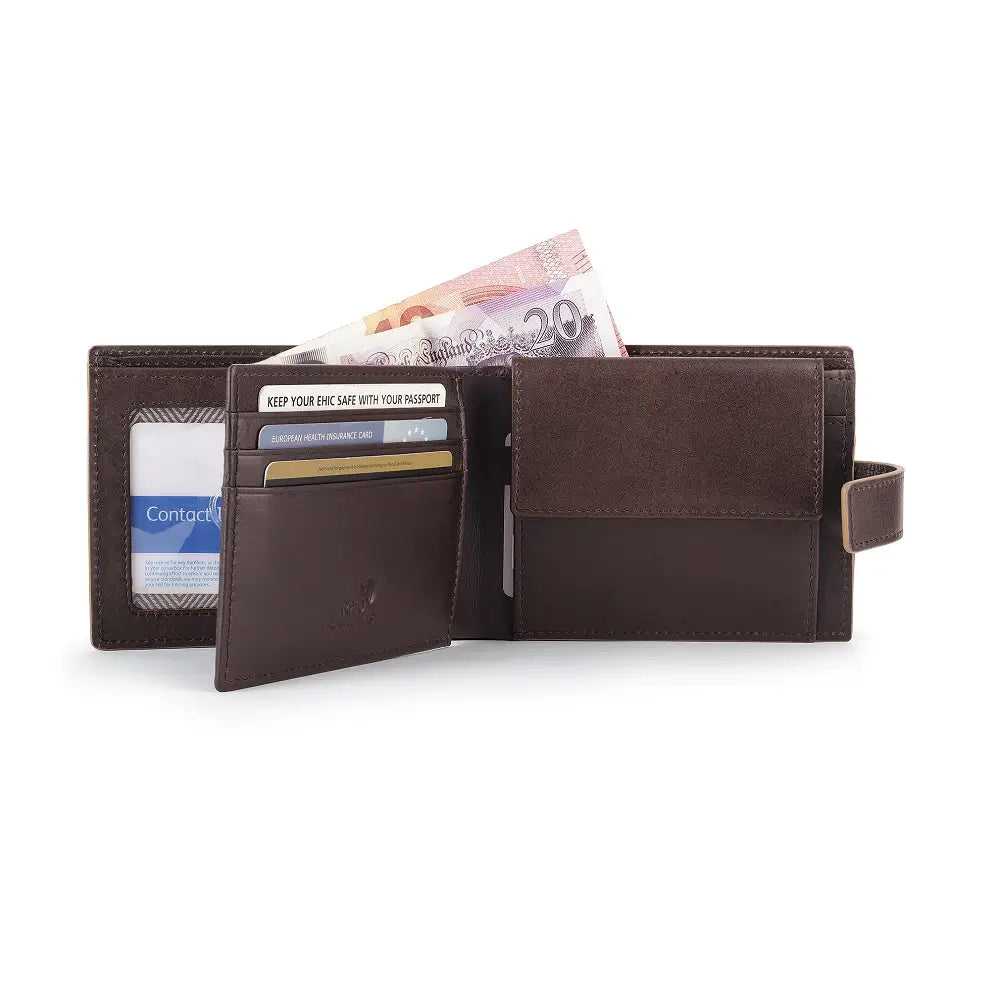 Open view of Brown leather wallet with money and cards on a white background