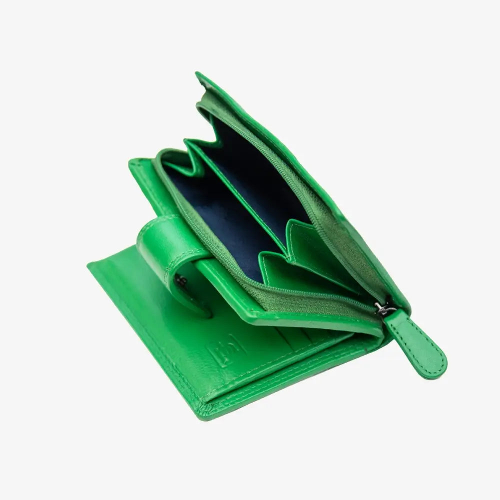 Inside view of Green wallet on a white background