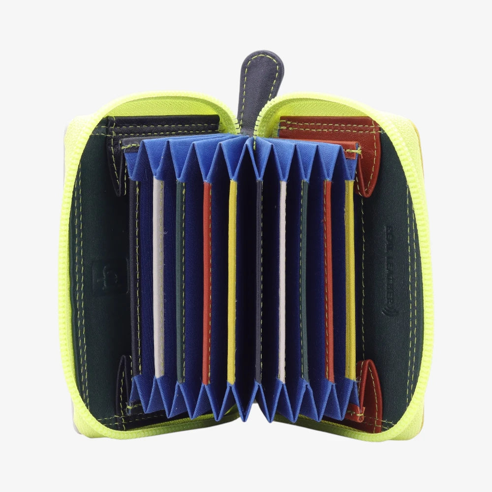 Lime cardholder with blue divider on a white background