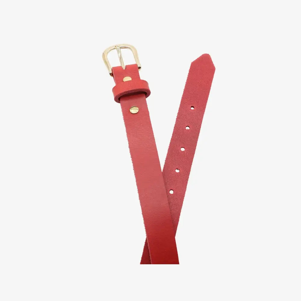 Top angle view of Red belt with a gold buckle on a white background