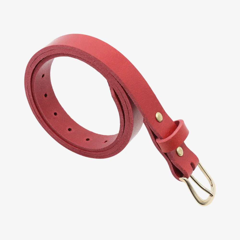 Red belt with a gold buckle on a white background