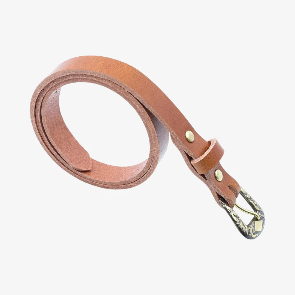 Brown leather women slim belt antique brass horse buckle on a grey background