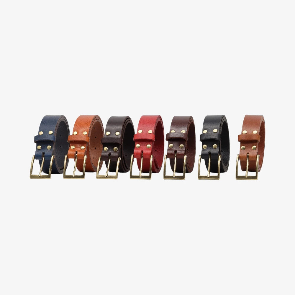 Set of leather belts in various colors on a white background