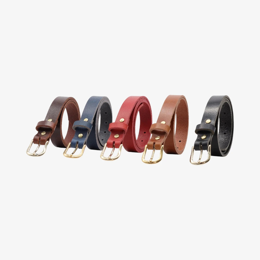 Set of five leather belts in different colors on a white background