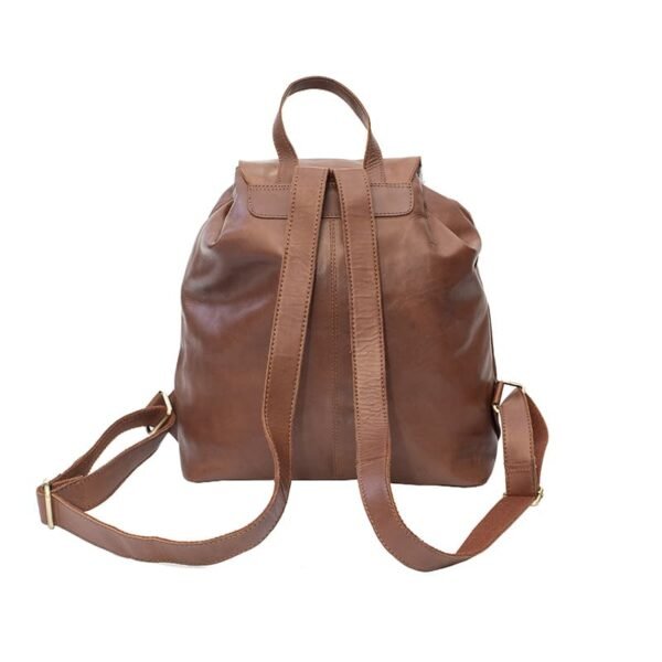 back view of a brown leather backpack